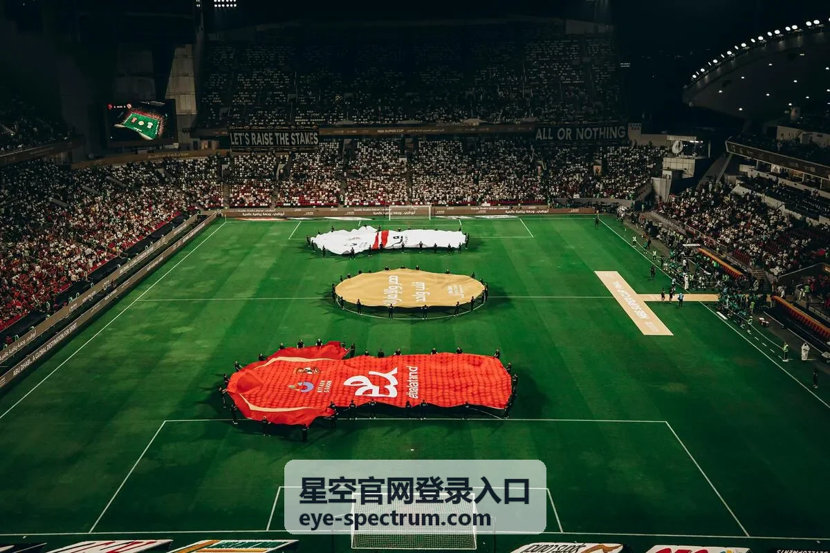 星空官网登录入口网页端登录界面示意